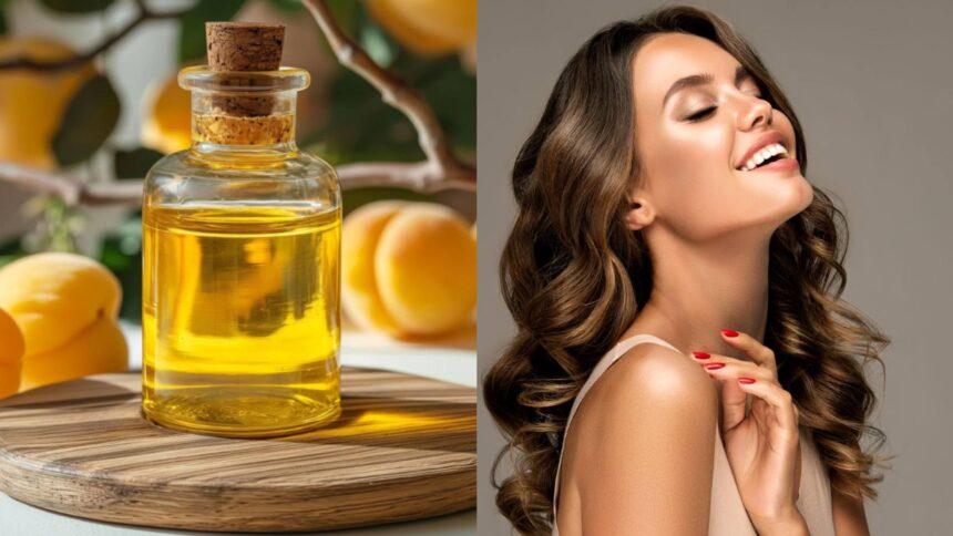 Have you tried using apricot oil for your hair? Six ways that can help you